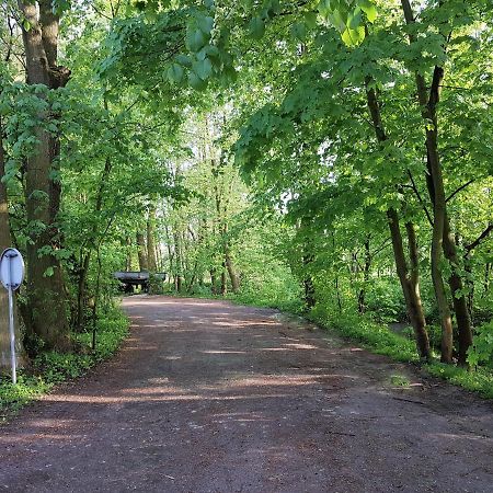 Gospodarstwo Agroturystyczne Stary Mlyn Wilczkowice Michalowice  Exterior foto