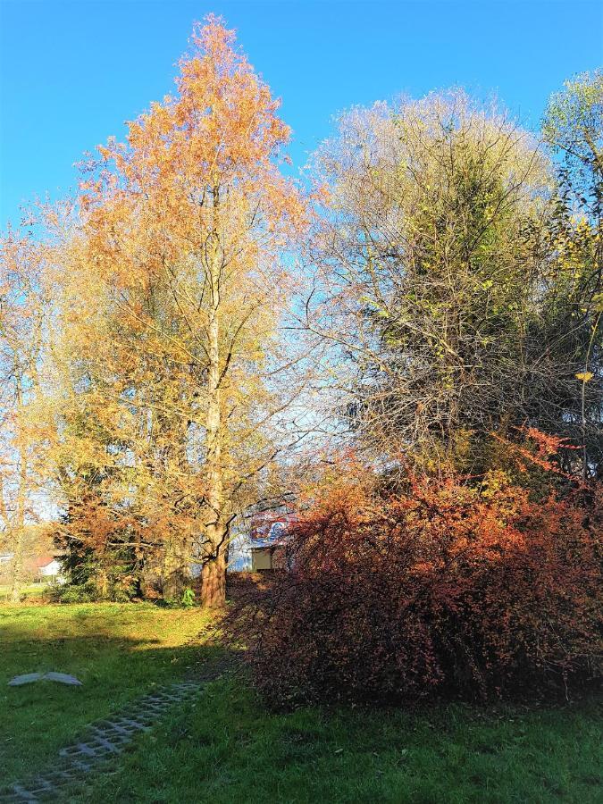 Gospodarstwo Agroturystyczne Stary Mlyn Wilczkowice Michalowice  Exterior foto