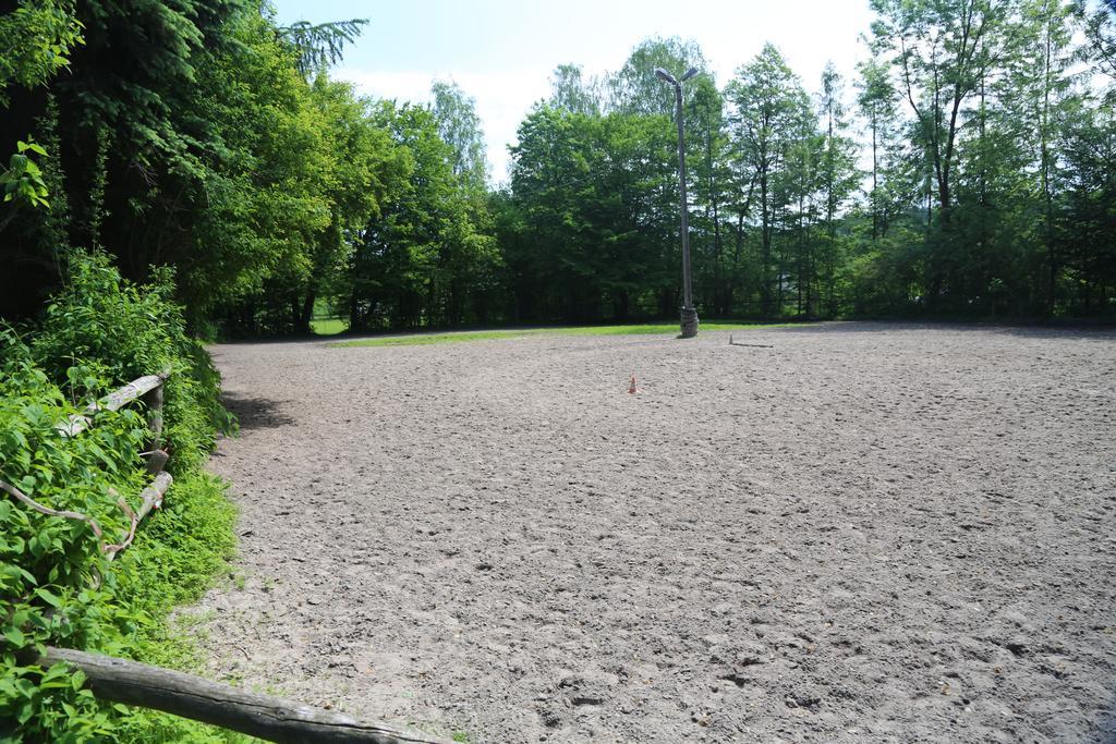 Gospodarstwo Agroturystyczne Stary Mlyn Wilczkowice Michalowice  Exterior foto