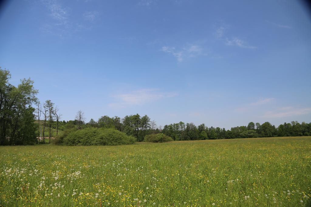 Gospodarstwo Agroturystyczne Stary Mlyn Wilczkowice Michalowice  Exterior foto