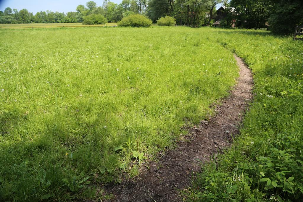 Gospodarstwo Agroturystyczne Stary Mlyn Wilczkowice Michalowice  Exterior foto